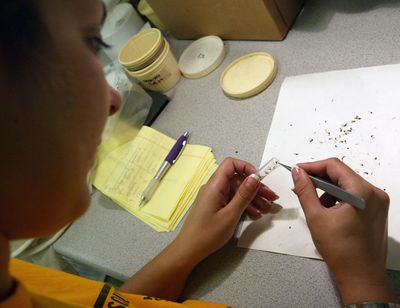 Seven in Ten Reported West Nile Cases This Year Are Neuroinvasive Even as National Totals Trail 2025