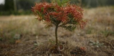 How to tackle persistent drought: Lessons from British Columbia