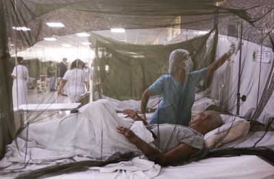 Florida Dengue Cases Climb to 152 as Tampa Bay Accounts for Nearly All Local Infections This Year
