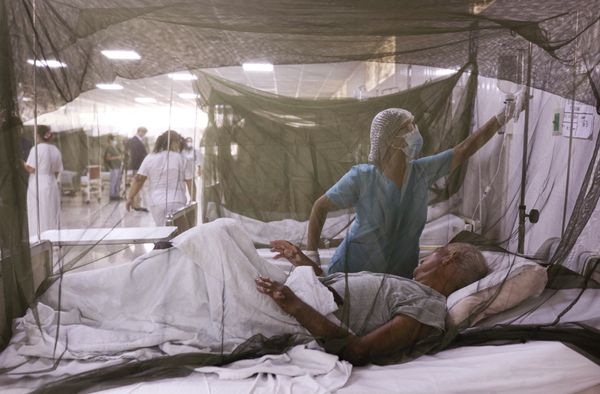 Florida Dengue Cases Climb to 152 as Tampa Bay Accounts for Nearly All Local Infections This Year