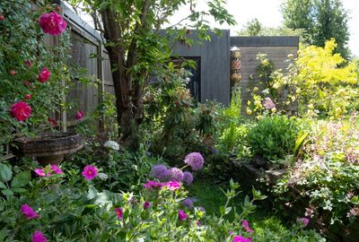 The Native Plant Garden Looks “Messy” to the HOA — Who Gets to Decide?