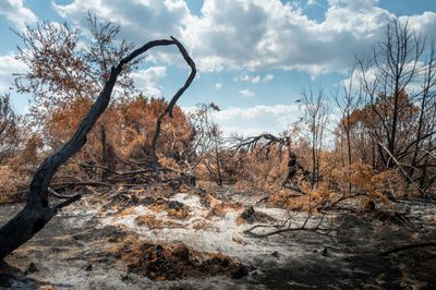 The Ross Fire Is Finally Out: What 23 Days of Flames Cost North Texas And 90,400 Acres Burned