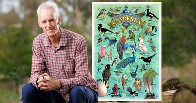 Why Canberra's birds are just like the locals who live here
