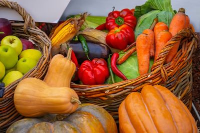 Can a $25 Fall Garden Produce $100 Worth of Food? Let’s Run the Numbers