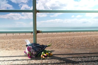 No criminal activity suspected after three sisters drowned at sea near Brighton