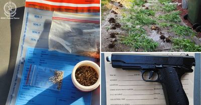 Dealer locked family out of rooms to grow large quantities of cannabis