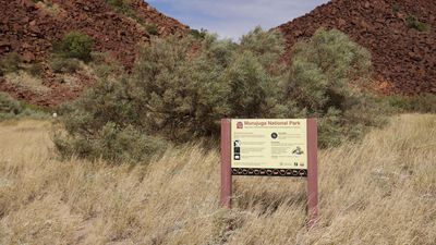 Rock art damage complaint goes to UN rights council