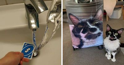 89 Pics That Might Make You Stop Scrolling Just To Figure Out What’s Going On