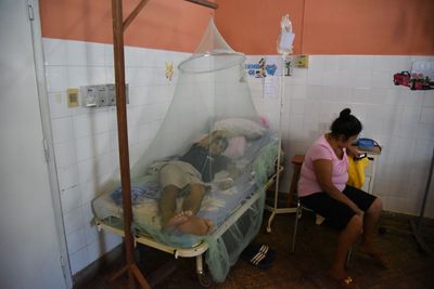 Florida Confirms a Dengue Death in an Older Tampa Woman as Hillsborough Local Cases Pass 130 This Year