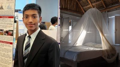 16-year-old student’s malaria model could double impact of mosquito nets, wins $50K