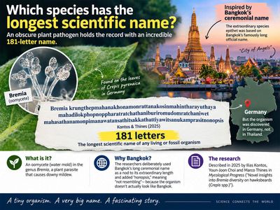 What are binomial names? Which species has the longest scientific name, and why was the 181-letter name inspired by Bangkok despite being found in Germany?