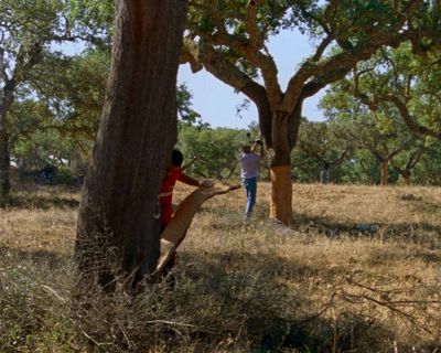 The Seasons review – Portuguese pastoral offers poetic excavation of myth and mapping