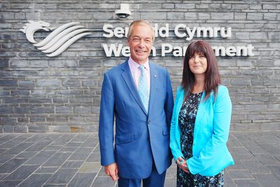 New Welsh Reform leader named after Dan Thomas arrested