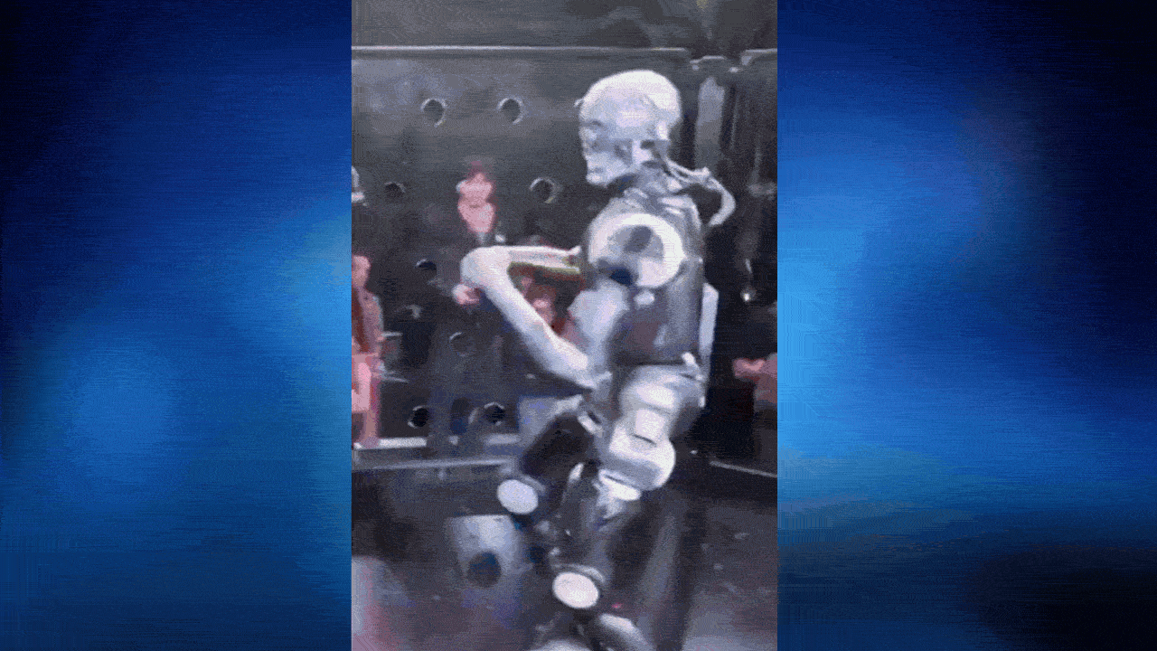 Robot vs human: Humanoid robot throws punches, kicks influencer across cage - video
