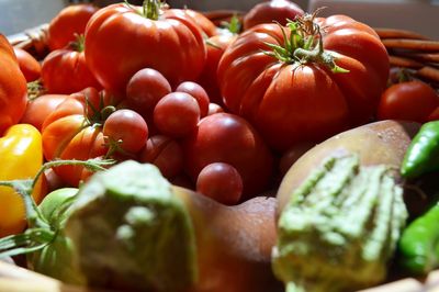 How Much Does a Homegrown Tomato Actually Cost?