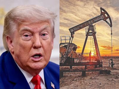 Russia has 'lost control' of its diesel industry: Trump says Ukraine war has put several refineries out of commission