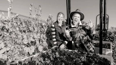 In 2013, Pink bought a 200-acre California ranch for $9M; it is now a working vineyard