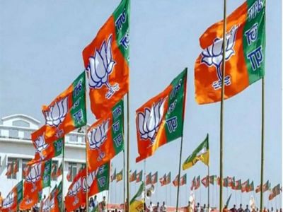 Rajasthan: BJP secures 197 civic body heads, twice as many as Congress; election for the rest on
