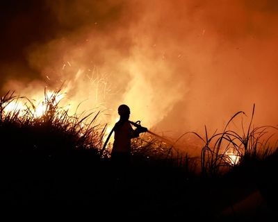 ‘Jaw-dropping’ El Niño bursts through temperature record months before peak