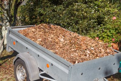 Stop Cleaning Up Your Garden This Fall — 7 Things Experts Say You Should Leave Alone