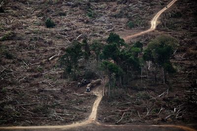 ‘Planetary boundaries’ necessary for flourishing of life have been massively breached, scientists warn