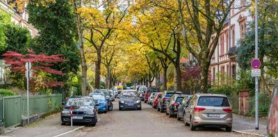 ‘Small, flowering islands’: German city reveals how nature thrives when neighbours care for street tree beds