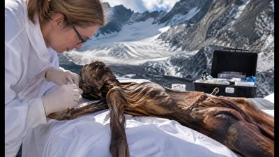 A melting glacier exposed a body in the Alps in 1991; 5,300 years after his death, scientists turned Ötzi into one of history's most studied humans