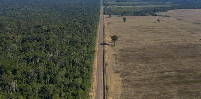 Brazil has made gains against Amazon deforestation, but lasting protection is a challenge