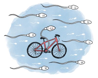Is it true that … cycling affects fertility?