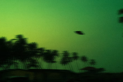 US Military Thought 1952 'Flying Disc' Footage Showed Seagulls Before Declassified Documents Dropped