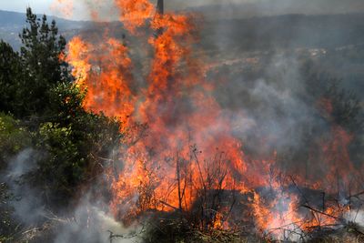 Villa de Leyva Wildfire, Explained: What's Burned, Who's Fighting It and Why Arson Is Now on the Table