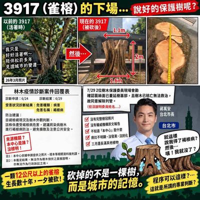 受保護樹木也被砍 矢板明夫：蔣市府不能只用公安帶過