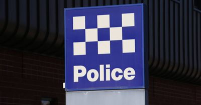 Motorcyclist killed in early-morning collision with kangaroo