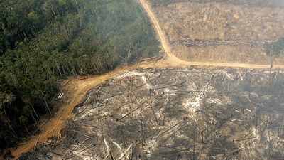 'Planetary boundaries' necessary for life breached, scientists warn. How do we change course?