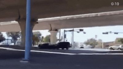 'Illegally entered': ICE agent shoots Venezuelan man in Texas- watch