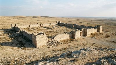 Spy Images Reveal Lost Forts: Declassified Cold War scans find 396 Roman sites; frontier seen as trade network