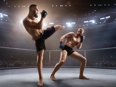 Mixed martial arts bids to make the Olympics sans the wire cage and blood