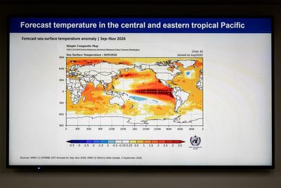 El Niño on course to shatter all-time record as ocean logs 100 days of extreme heat