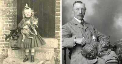 30 Vintage Photos That Prove Cats Have Always Stolen The Show, As Shared By This Page