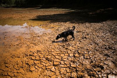 ‘Unprecedented’ El Nino is already breaking weather records before peak, Met Office warns