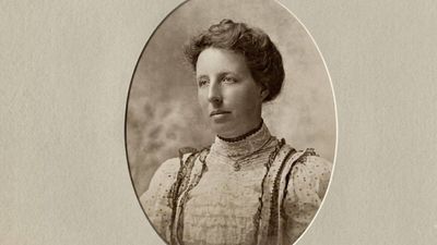 A school principal brought Chinese gooseberry seeds in 1904; kiwifruit hits record forecast