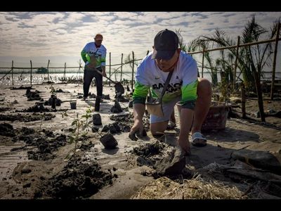 In 2019, Aidan Gallagher linked fan pledges to mangrove planting in Madagascar. 6 years later, the campaign had planted 113,706 trees and removed 38 million kg of carbon