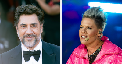 After Pink Lost Fan Support Over Scandalous Posts, Javier Bardem Makes Bold Public Move Against Her