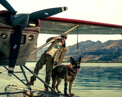Heart of the Beast review – Brad Pitt survivalist dogmance serves up wilderness with side of cheese