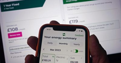 'Catastrophic' Westminster and Ofgem errors drive surge in Scottish energy costs