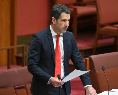 Alex Antic’s rise in SA Liberals has coincided with a collapse in the party’s vote. Is there further to fall?