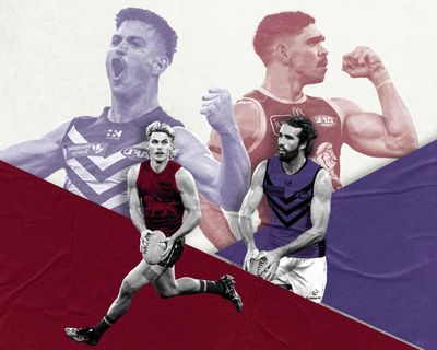 Annoyingly likeable Lions or Fremantle’s fairytale? How to pick a team to cheer for in the AFL grand final