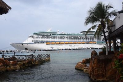 Royal Caribbean cruise passengers return to hundreds of baby spiders in their car