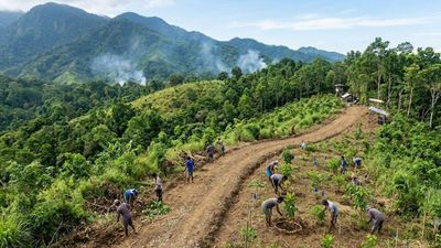 Philippine forests are being restored; scientists use regeneration to bring degraded land back