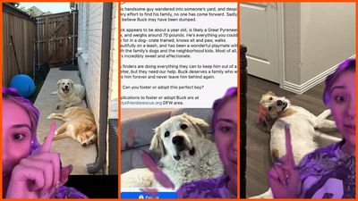 Dallas woman contacts animal shelter after fake post that claimed her dog was up for adoption; their response makes her blood boil